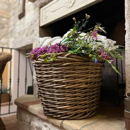 Farm stay Il Casolare Di Nonno Mario *