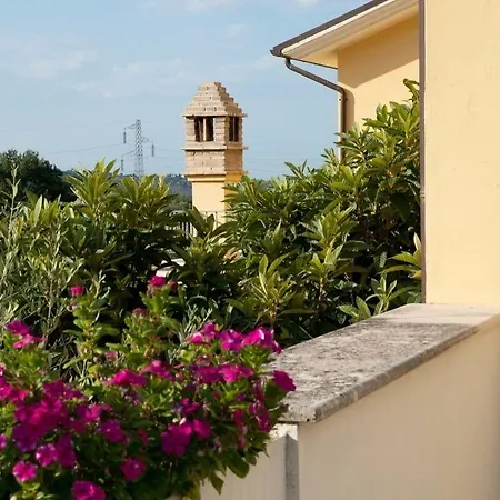 Bauernhof Il Casolare Di Nonno Mario