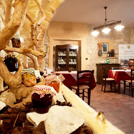 Il Casolare Di Nonno Mario Bauernhof