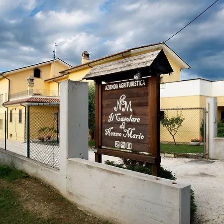 مزرعة للإقامة Il Casolare Di Nonno Mario *