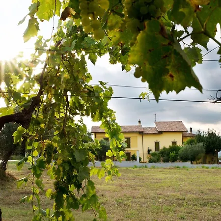 Il Casolare Di Nonno Mario