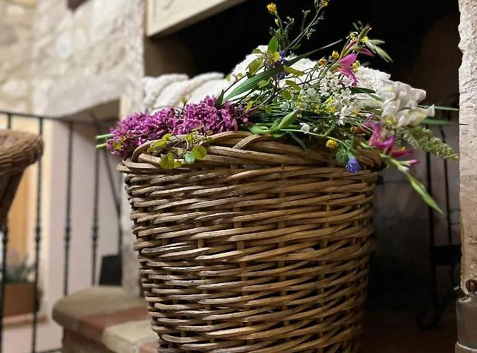 Alloggio per agriturismo Il Casolare Di Nonno Mario *