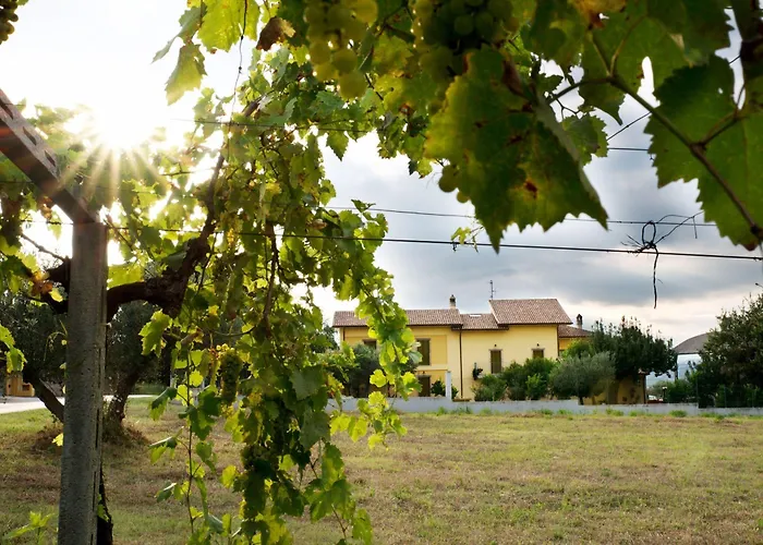 Il Casolare Di Nonno Mario
